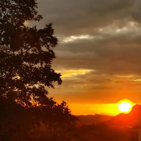 Erd's Hoimatle Lejlighed *