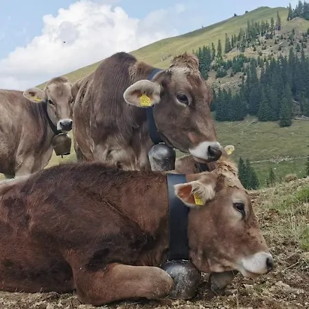 Erd's Hoimatle Jungholz