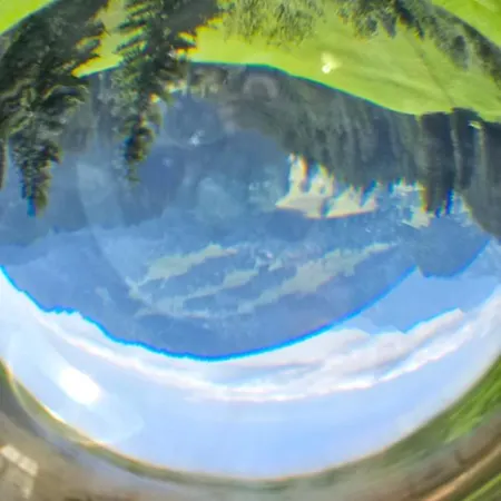 Erd's Hoimatle * Jungholz