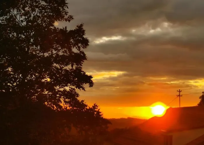 Erd's Hoimatle Lejlighed *