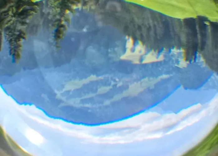 Erd's Hoimatle * Jungholz