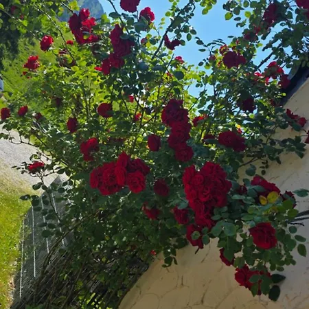 公寓 Erd's Hoimatle *